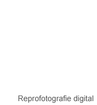 Repro-digital